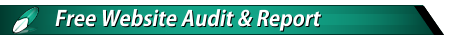 Free SEO website Report