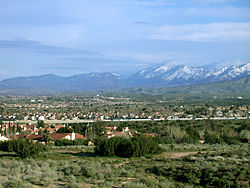 Palmdale SEO